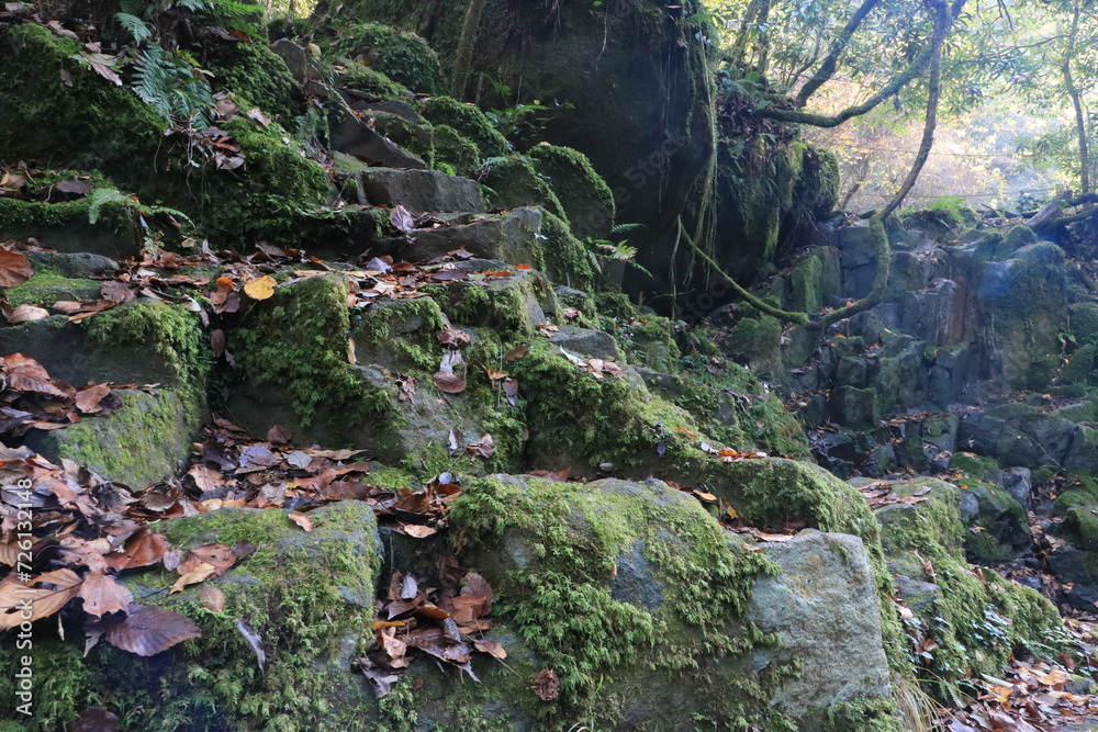 Obraz premium 菊池渓谷の自然 熊本県阿蘇山