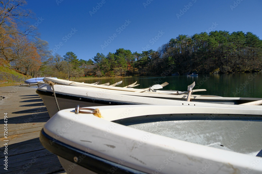 Fototapeta premium Close-up wooden boat in the forest.