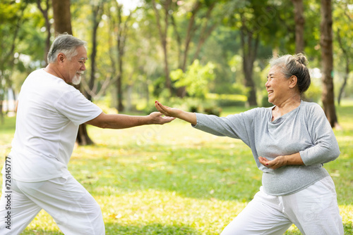 asian senior couple workout and practice tai chi in the park photo