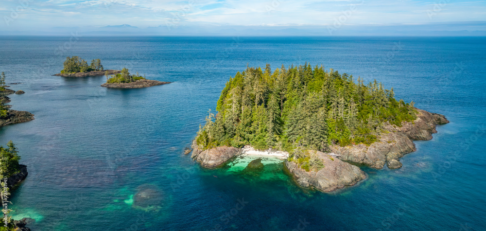 Trees and Island on West Coast of Pacific Ocean. Aerial Nature Background. Vancouver Island