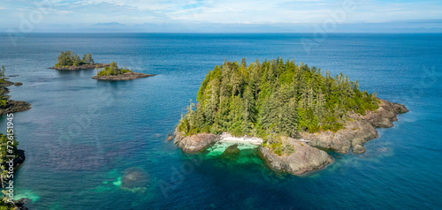 Fototapeta Naklejka Na Ścianę i Meble -  Trees and Island on West Coast of Pacific Ocean. Aerial Nature Background. Vancouver Island
