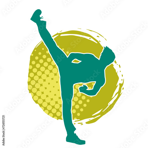 Silhouette of a male doing martial art kick pose. Silhouette of a martial art male doing kicking pose.
