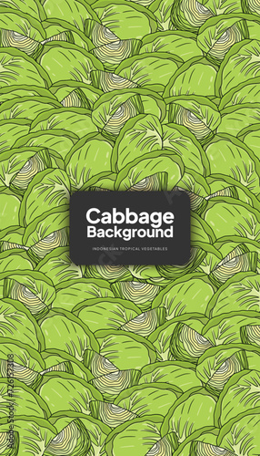 Cabbage illustration, tropical vegetable background design template