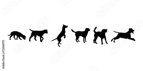 Dog silhouette