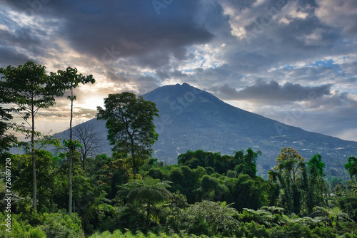 A green valley at the foot of Mount Sindoro, Central Java, Indonesia