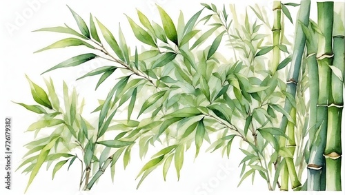 bamboo branche with your leaves water color illustration victorian