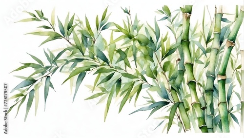 bamboo branche with your leaves water color illustration victorian © americandigi