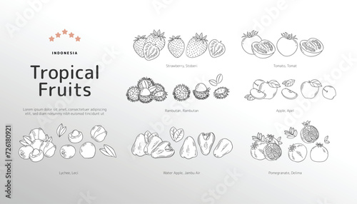 Isolated Tropical fruits outline illustration photo