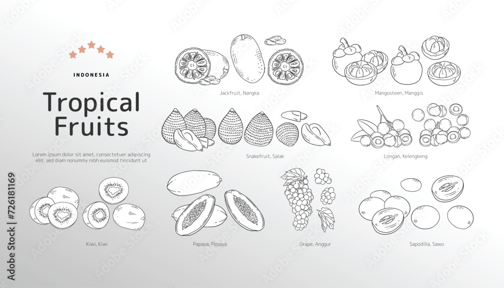 Isolated Tropical fruits outline illustration