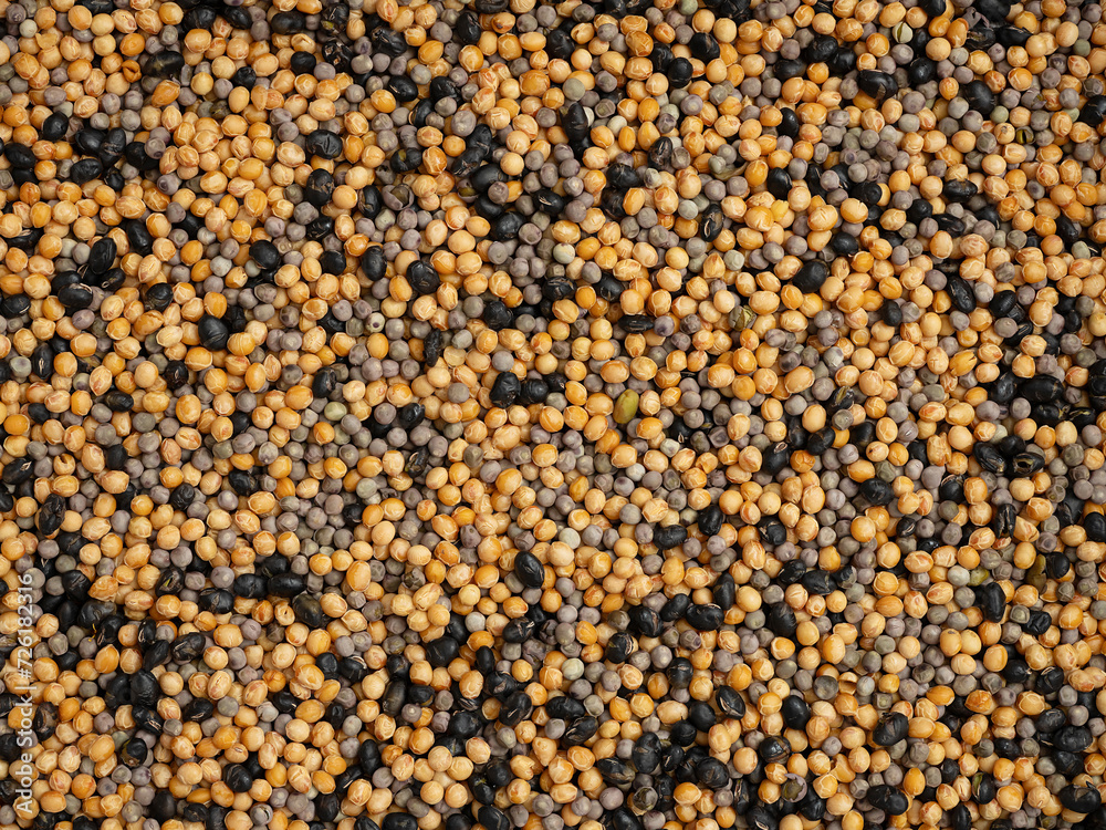 close up of a texture,various beans, close up of a texture,various beans,