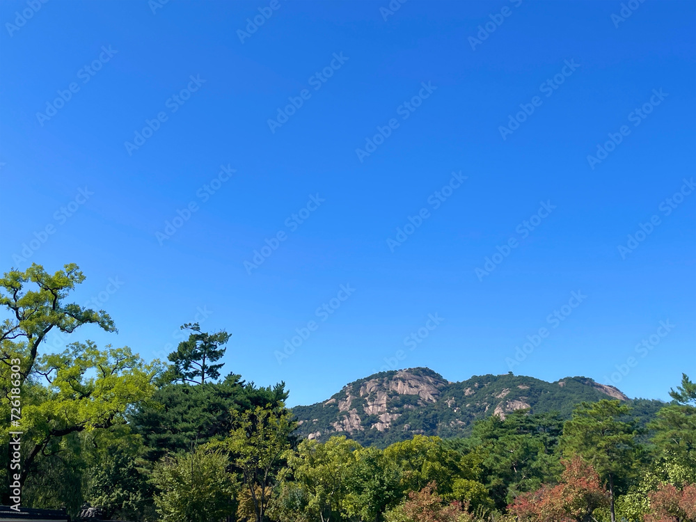 Obraz premium landscape with blue sky