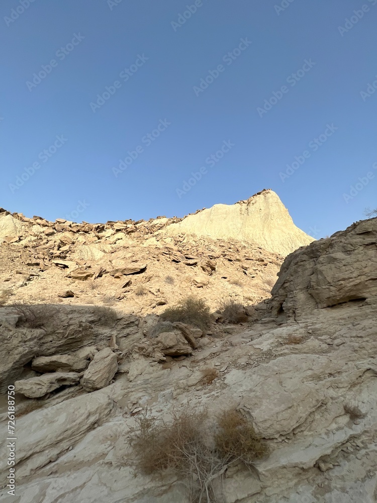 landscape in the desert