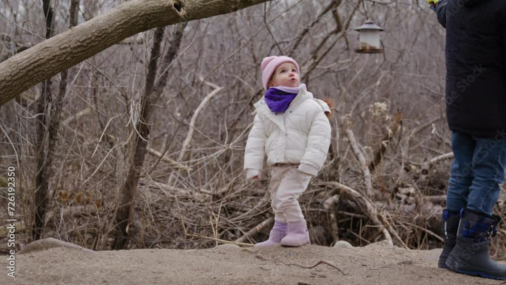 Toddler girl outdoors in late autumn watching birds at bird feeder in forest Toddler girl outdoors in late autumn watching birds at bird feeder in forest