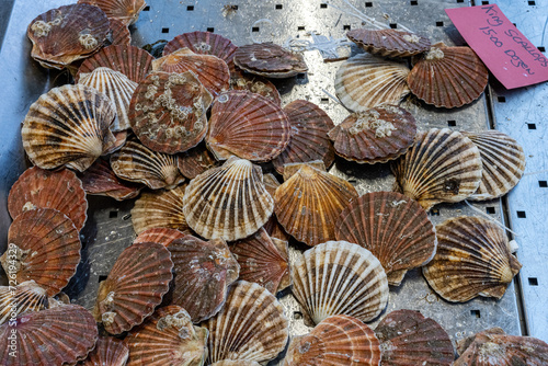 King scallops for sale at a market in Belfast, Northern Ireland
