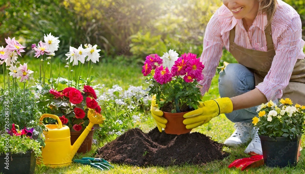 Flowers are planted in the garden on the theme of spring