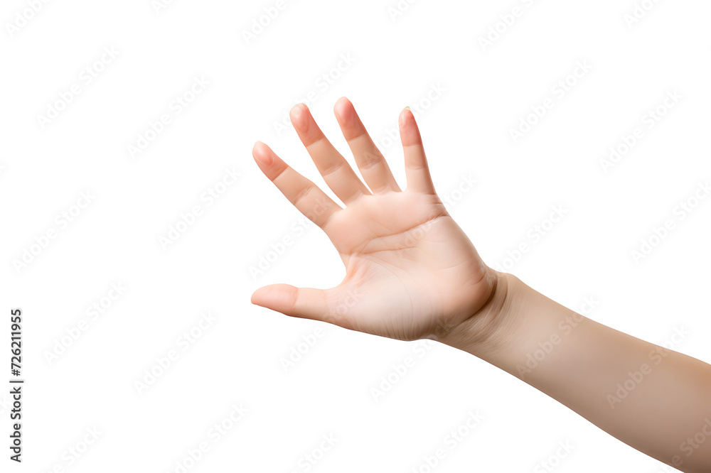 Human hands and gestures on background Human hands and gestures on background