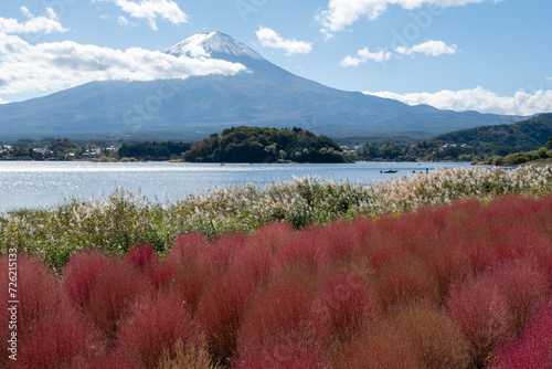 Mt Fuji on a clear day, Kochiya in Oishi Park, Lake Kawaguchi © Larry Zhou