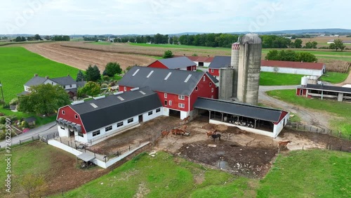 American farm in rural USA with livestock and fields during early autumn. Aerial. photo