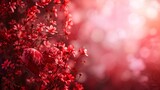 Amour et Saint Valentin, cœur et fleur dans un fond abstrait graphique, rose et rouge, illustration ia générative
