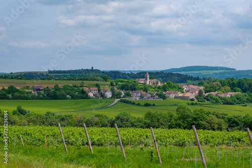 Paysage viticole en Bourgogne, avec un village au deuxième plan