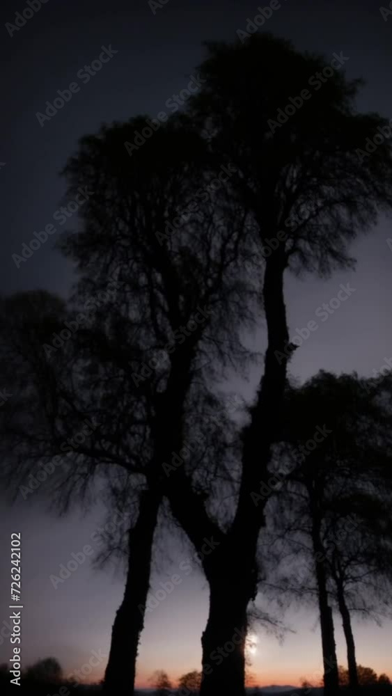 Two Adjacent Trees Standing Together. Generative AI. Two Adjacent Trees Standing Together. Generative AI.