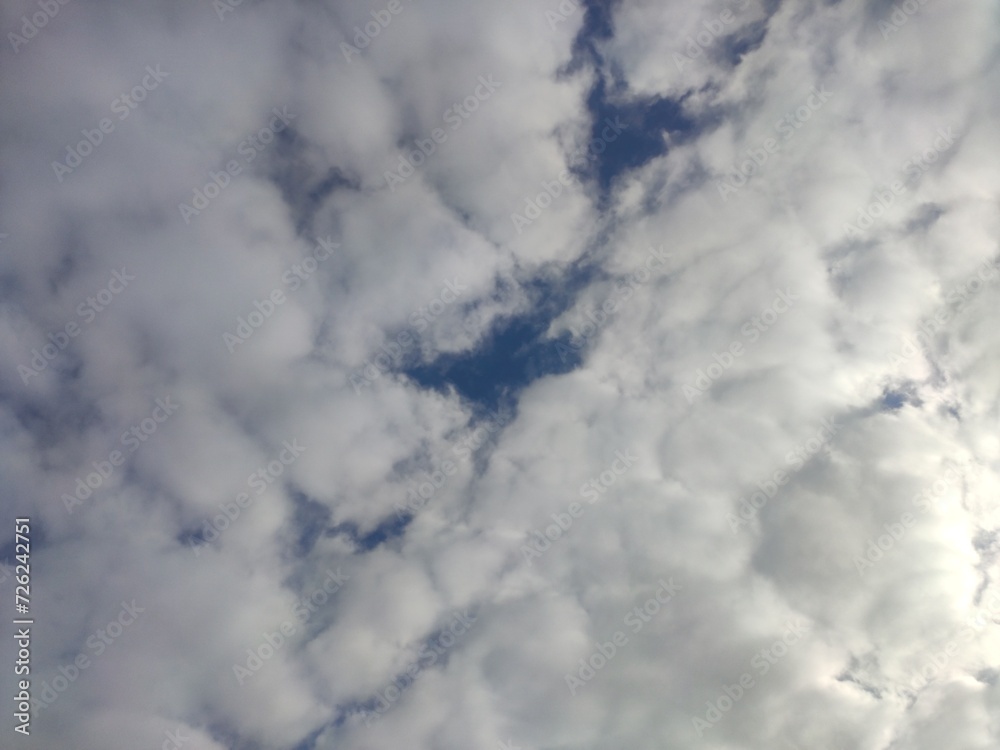 Fototapeta premium white clouds in a clear sky.