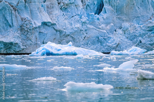 Ice floes floating in the water at a glacier