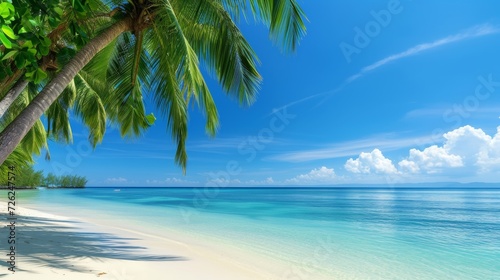 Idyllic beach panorama with palms  perfect tropical banner