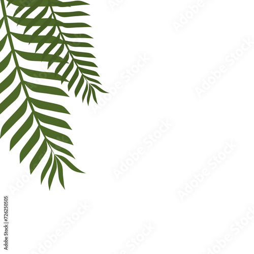 Palm Leaves Corner