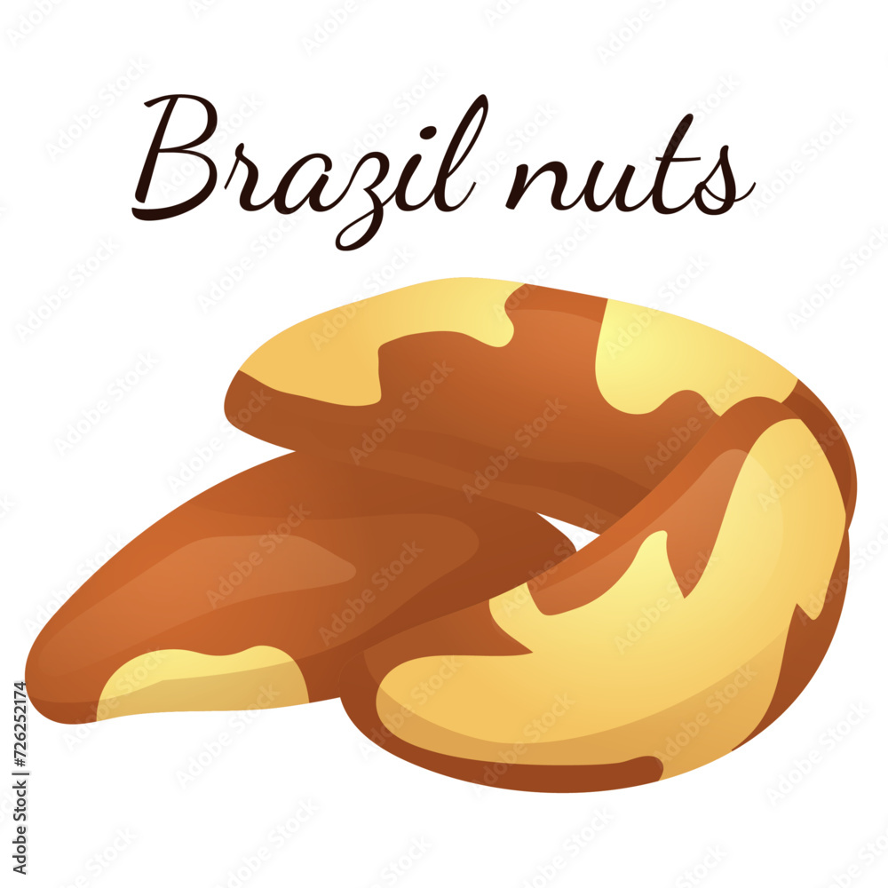 A set of flat illustrations of nuts: almonds, walnuts,cashews,pistachios,pecans,hazelnuts, brazil nuts, macadamia nuts,pine nuts, chestnuts peanuts and coconuts. A set of flat illustrations of nuts: almonds, walnuts,cashews,pistachios,pecans,hazelnuts, brazil nuts, macadamia nuts,pine nuts, chestnuts peanuts and coconuts.
