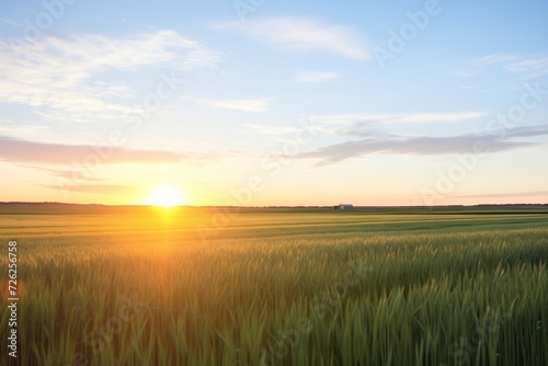 summer solstice sun setting over an expanse of wheat fields photo