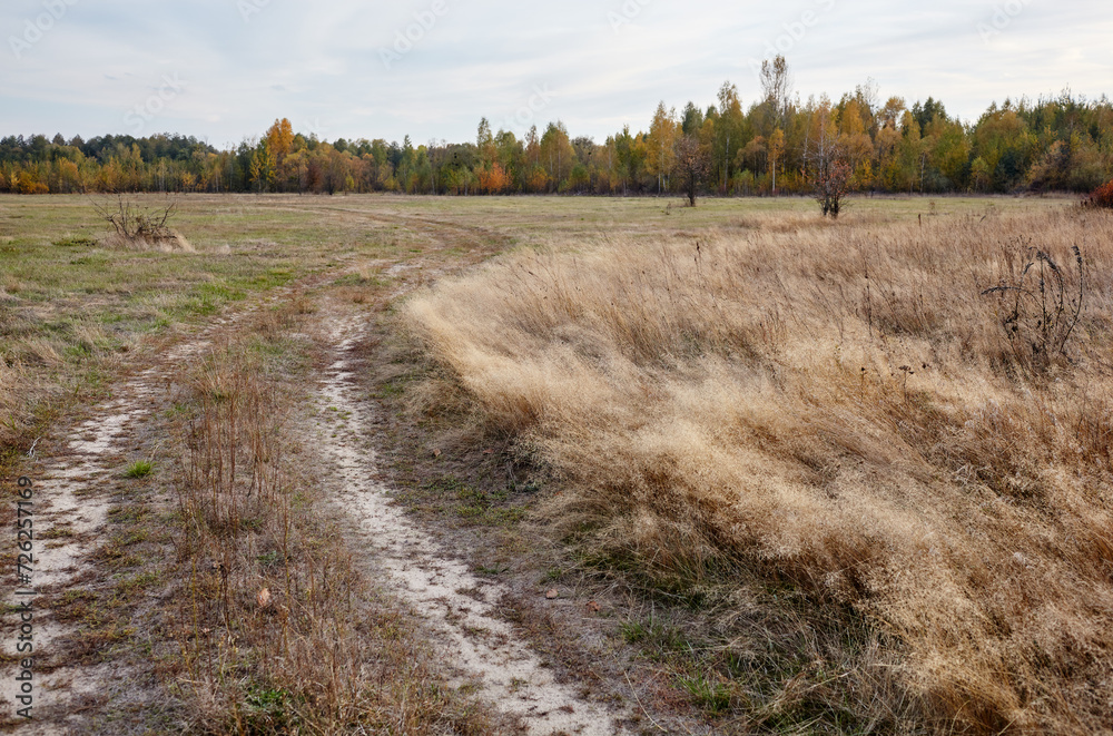 Beautiful landscape of field against the sky. Meadows and road to forest Beautiful landscape of field against the sky. Meadows and road to forest