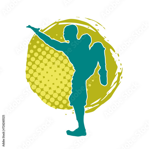 Silhouette of a man in oriental martial art pose. Silhouette of a male in martial art move.
