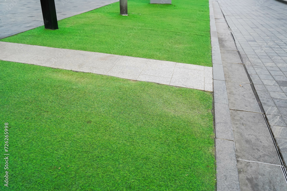 Artificial grass or lawn turf. Concrete walkway in the park.