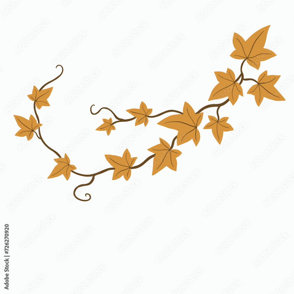 Floral ivy drawing decorative ornament flat design. Floral ivy drawing decorative ornament flat design.
