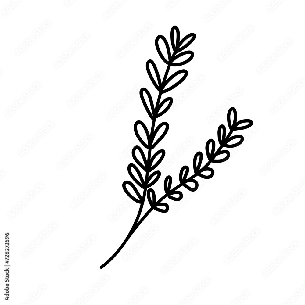 branch of wheat branch of wheat