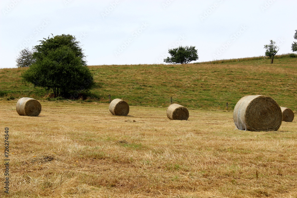 Heuballen Feld Acker