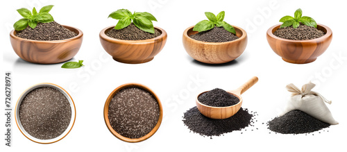 Collection of Basil seeds in wooden bowl isolated on transparency background PNG