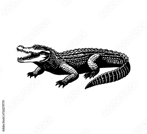 crocodile hand drawn vector illustration graphic