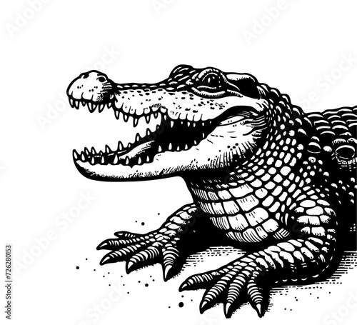 crocodile hand drawn vector illustration graphic © AriaMuhammads