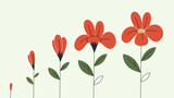 Flower growing stages. Abstract red blossom. Sprout-bud-flower phases. Vector illustration isolated on light green background.
