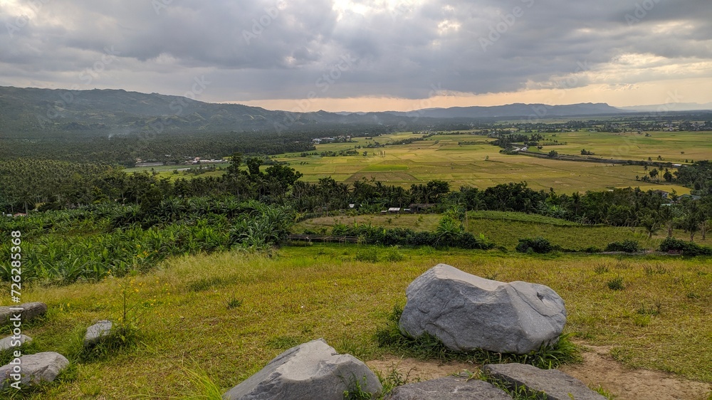 landscape in the morning