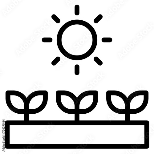 photosynthesis