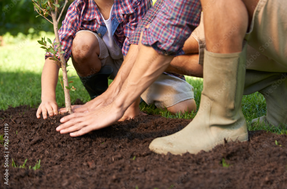 Fototapeta premium Father, child and plant tree with support for gardening education and environmental ecology. Man, kid and learning natural agriculture with help from parent in backyard in summer for growth
