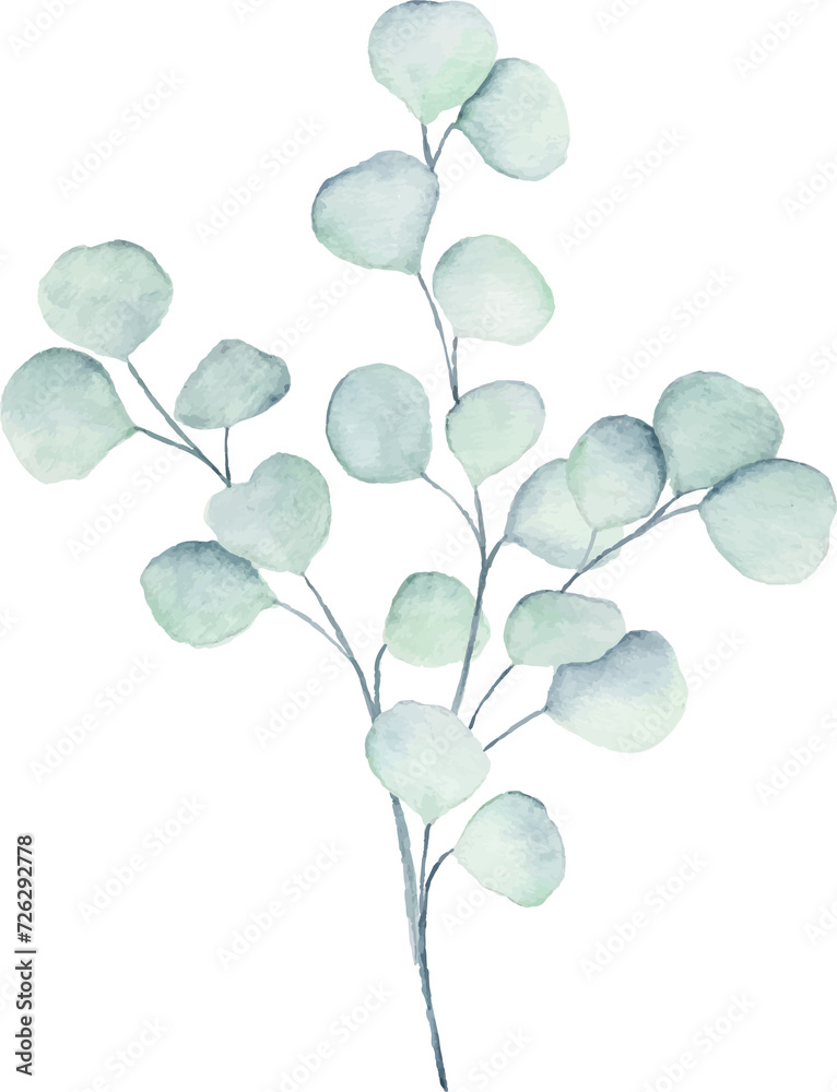 Watercolor eucalyptus leaves
