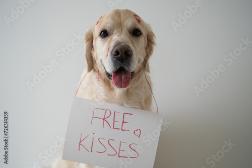 Canvas Print A cute dog in red kisses sits on a white background