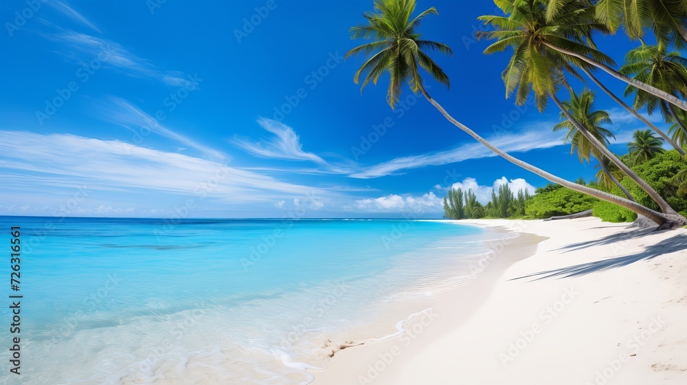 Tropical maldives island with white sandy beach and sea palm