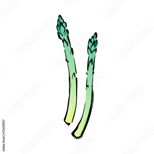 アスパラガスの和風ベクターイラスト（カラー）。