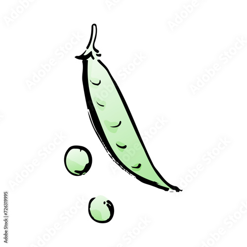 えんどう豆の和風ベクターイラスト（カラー）。