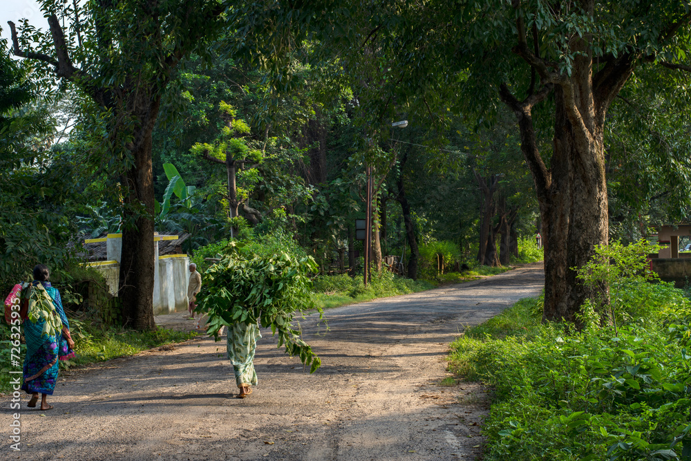 10th October, 2023, Topchachi, Jharkhand, India: Beautiful village road of Bengal with forest both side of the road and few people walking on the road. Selective focus.